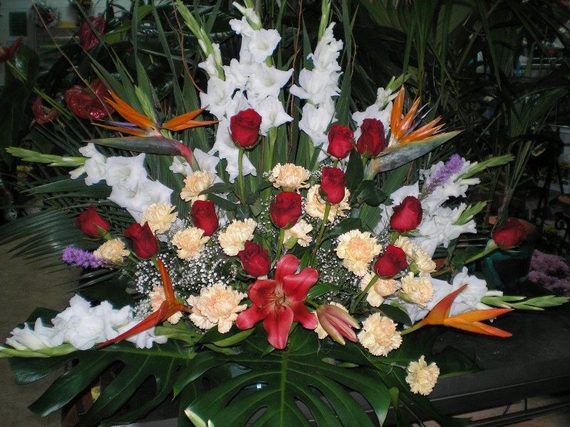 Jardineria Alonso. Proyecto destacado